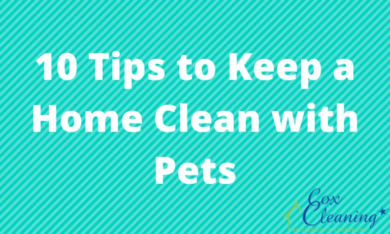 Read more about the article 10 Tips to Keep a Home Clean with Pets